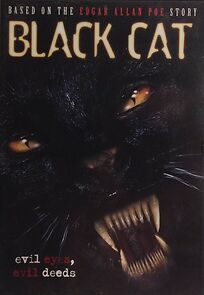 Watch Black Cat