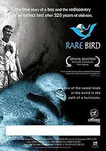 Watch Rare Bird