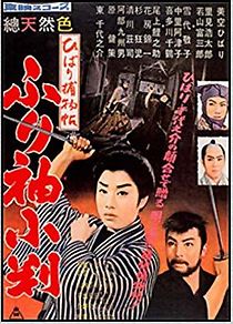 Watch Detective Hibari 3: Hidden Coin