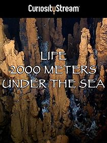 Watch Life 2,000 Meters Under the Sea
