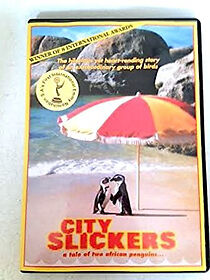 Watch City Slickers: A Tale of Two African Penguins