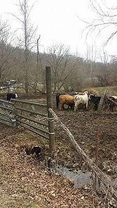 Watch What If I Didn't