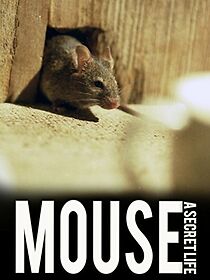 Watch Mouse: A Secret Life