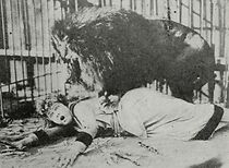 Watch The Lion and the Girl (Short 1916)