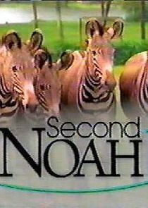 Watch Second Noah