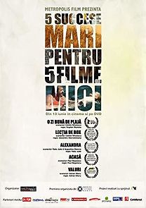 Watch The Boxing Lesson