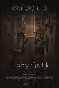 Watch Labyrinth (Short 2016)