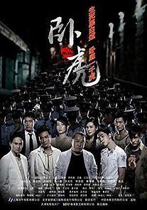Watch Wo Hu: Operation Undercover