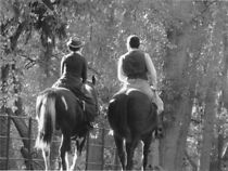 Watch In the Eye Abides the Heart (Short 2006)