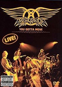 Watch Aerosmith: You Gotta Move