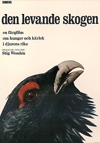 Watch Den levande skogen