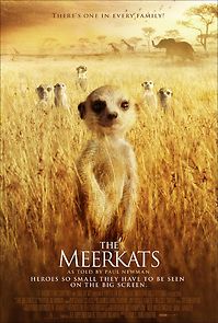 Watch The Meerkats