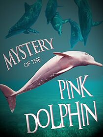 Watch The Mystery of the Pink Dolphin