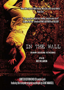 Watch In the Wall