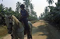 Watch Year of the Nail