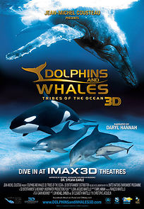 Watch Dolphins and Whales 3D: Tribes of the Ocean