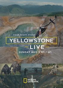 Watch Yellowstone Live