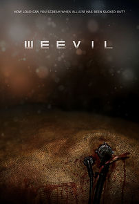 Watch Weevil