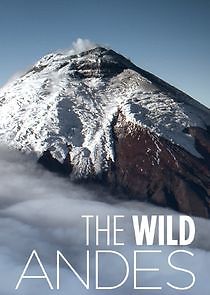 Watch The Wild Andes