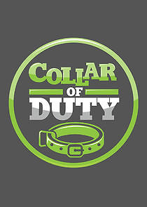 Watch Collar of Duty