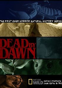 Watch Dead by Dawn