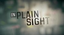 Watch In Plain Sight