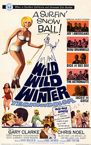 Watch Wild Wild Winter