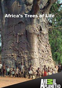 Watch Africa's Trees of Life