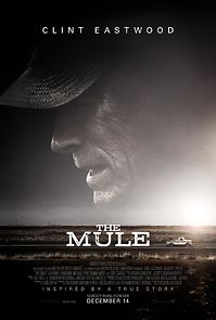 Watch The Mule