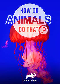 Watch How Do Animals Do That?