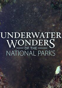 Watch Underwater Wonders of the National Parks
