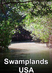 Watch Swamplands USA
