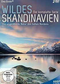 Watch Wildes Skandinavien