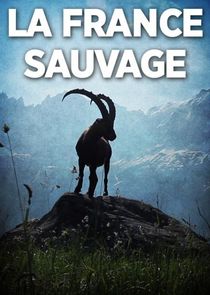 Watch La France sauvage