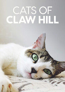 Watch Cats of Claw Hill