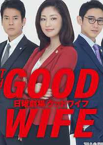 Watch The Good Wife