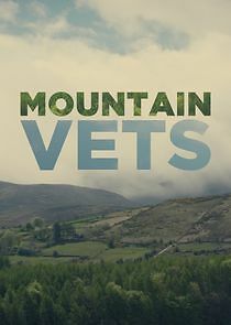 Watch Mountain Vets
