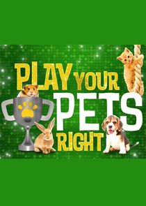 Watch Play Your Pets Right