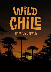 Watch Wild Chile: Un Viaje Salvaje