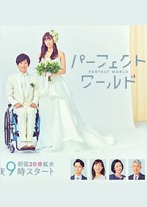 Watch Perfect World