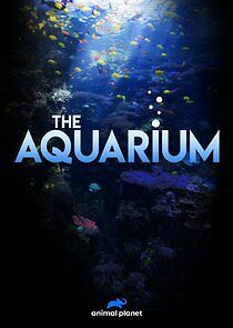 Watch The Aquarium