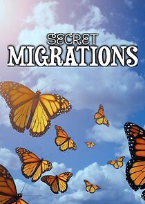 Watch Secret Migrations