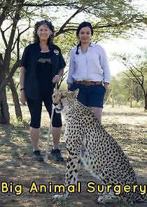 Watch Big Animal Surgery