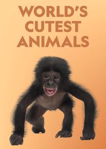 Watch World's Cutest Animals