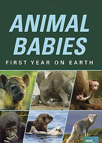 Watch Animal Babies: First Year on Earth