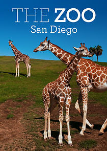 Watch The Zoo: San Diego
