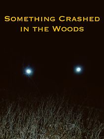 Watch Something Crashed in the Woods
