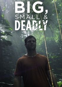 Watch Big, Small & Deadly