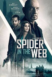 Watch Spider in the Web