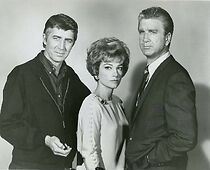 Watch Companions in Nightmare